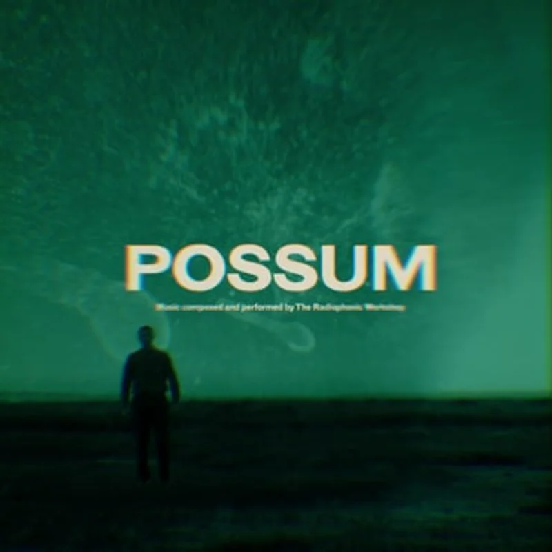 The Radiophonic Workshop - Possum 2LP