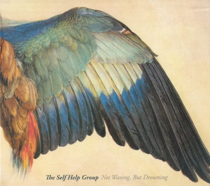 The Self Help Group - Not Waving, But Drowning (CD)