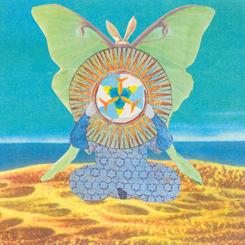 The Skygreen Leopards - The Jingling World of LP