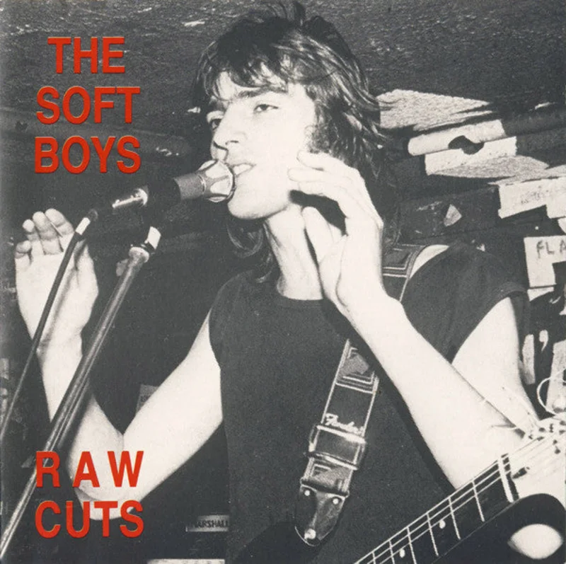 The Soft Boys - Raw Cuts (CD)