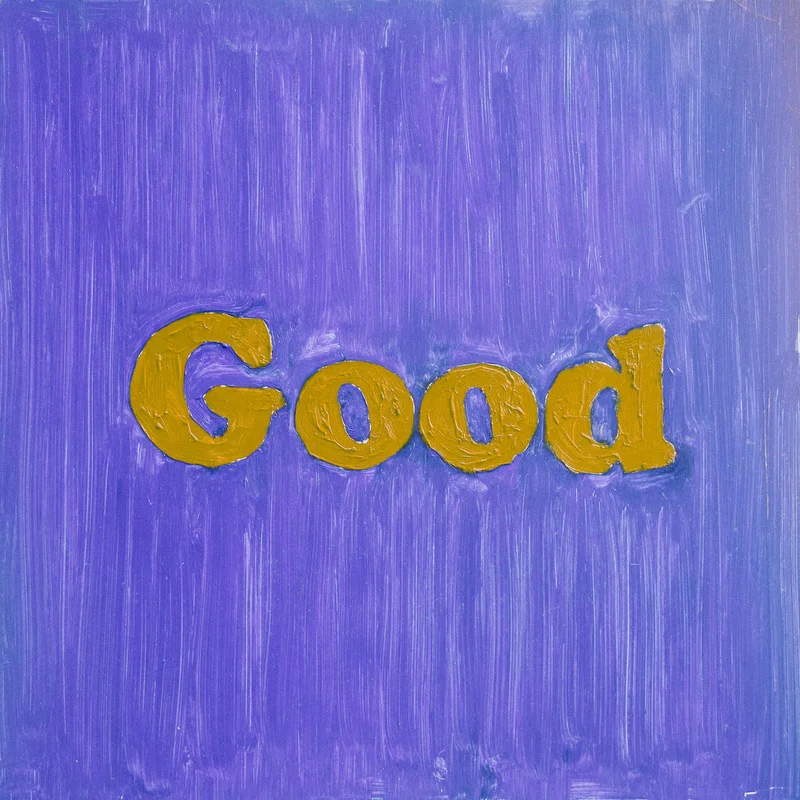 The Stevens - Good LP