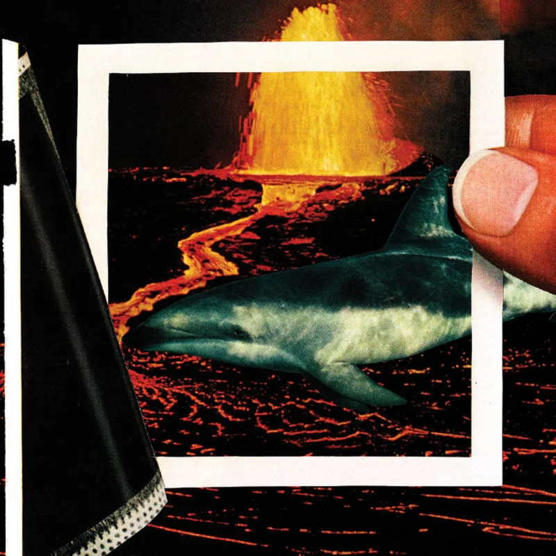 The Thermals - We Disappear LP