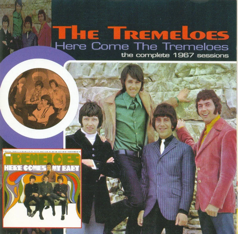 The Tremeloes - Here Come The Tremeloes - The Complete 1967 Sessions (CD)