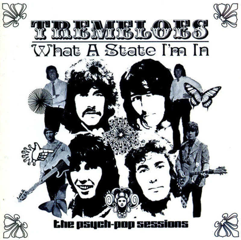 The Tremeloes - What A State I'm In (CD)