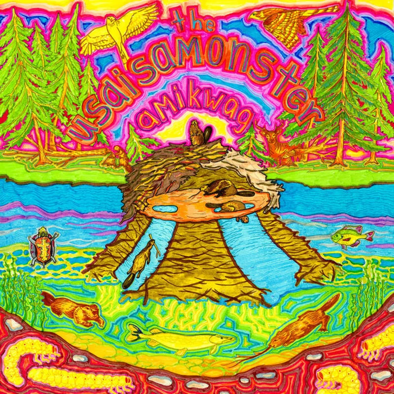 The Usaisamonster - Amikwag LP
