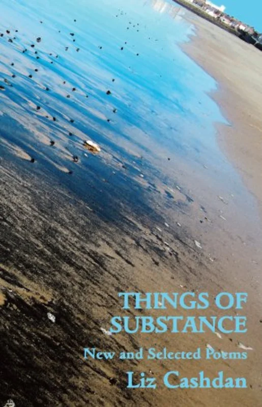 Things of Substance: New and Selected Poems