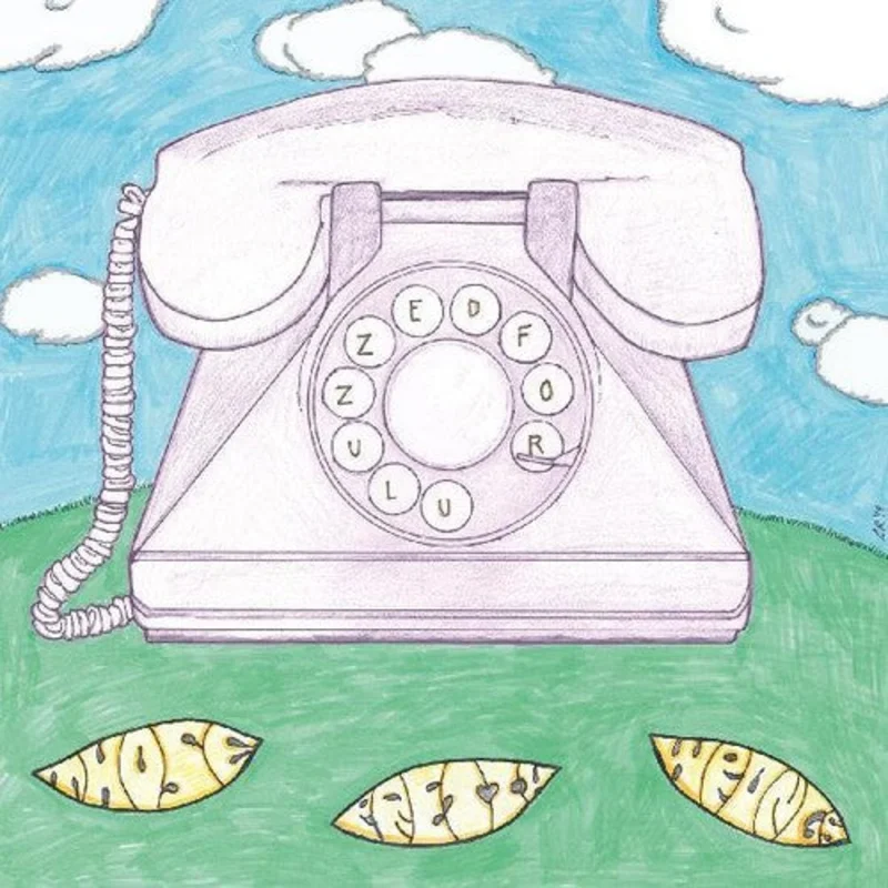 Those Pretty Wrongs - Zed for Zulu LP