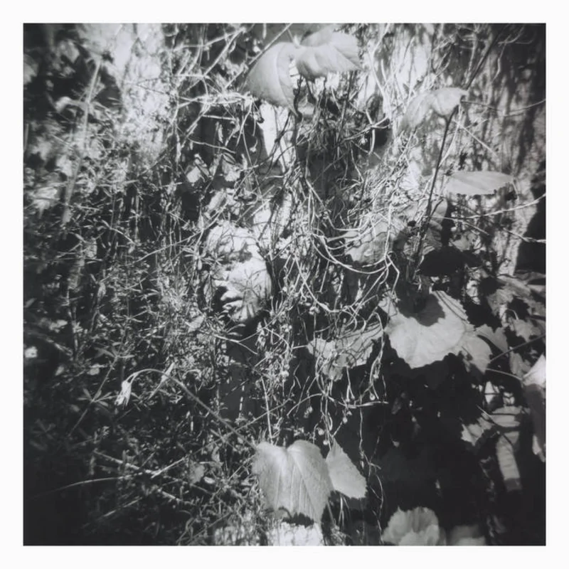 Tim Mislock - Now Is The Last Best Time LP