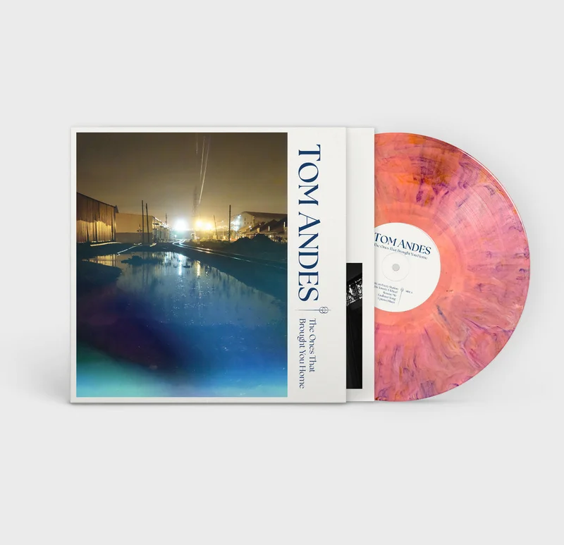 Tom Andes - The Ones That Brought You Home (LP, Album)