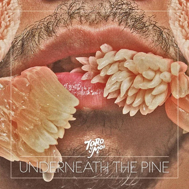 Toro y Moi - Underneath the Pine LP