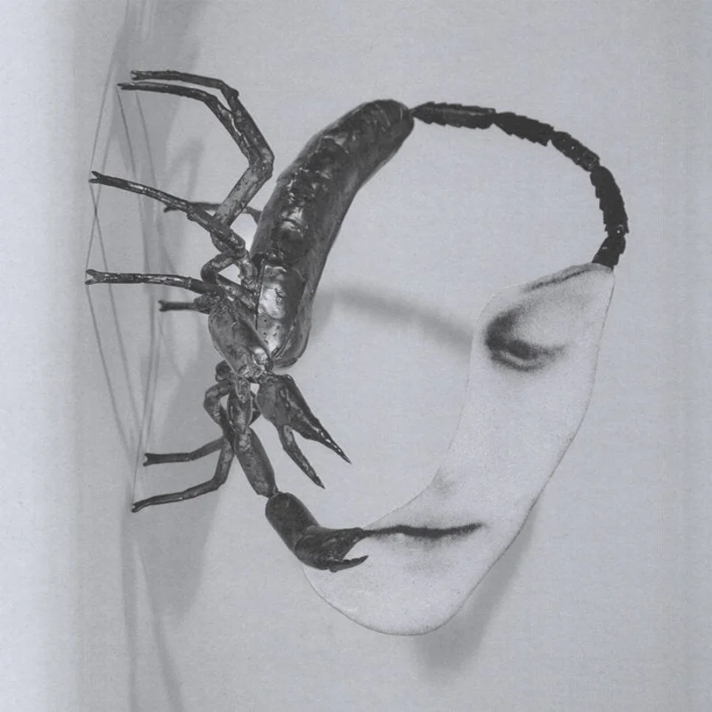 Tortoise - Touch LP