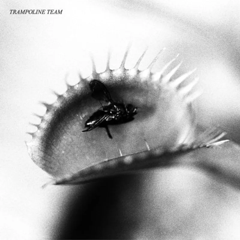 Trampoline Team - Trampoline Team LP