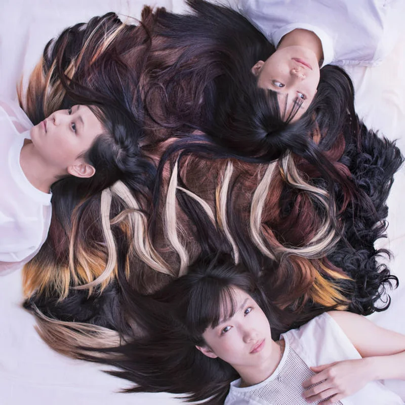 Tricot - A N D LP