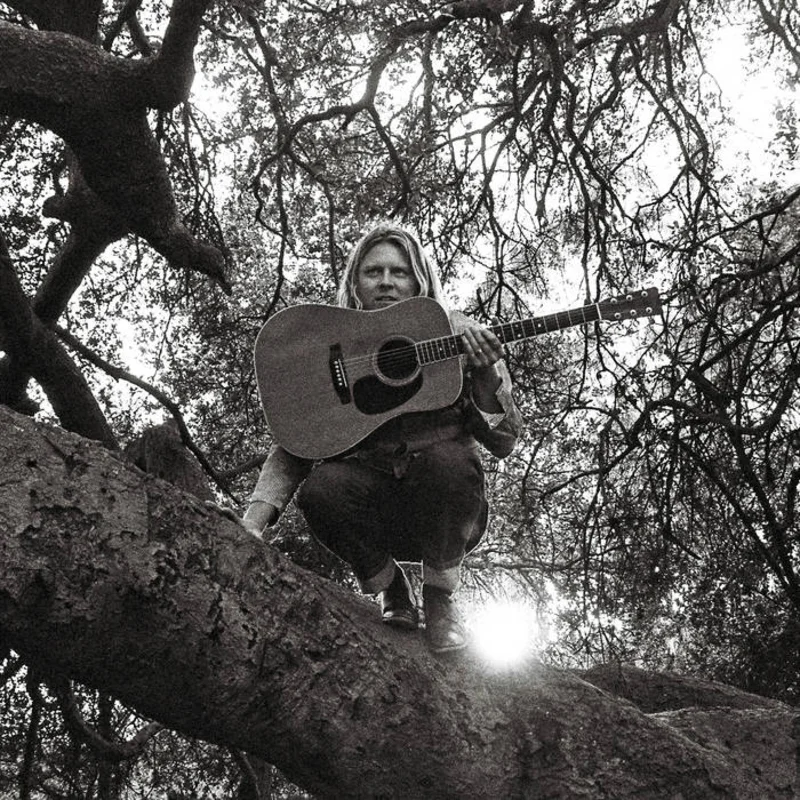 Ty Segall - "Hello, Hi" LP / CS