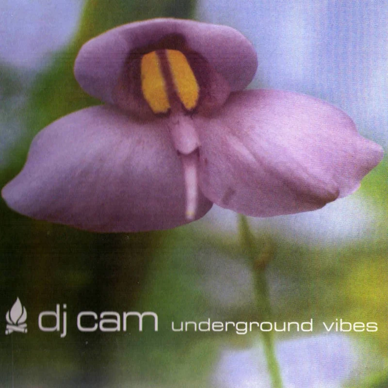 Underground Vibes (30th anniversary)