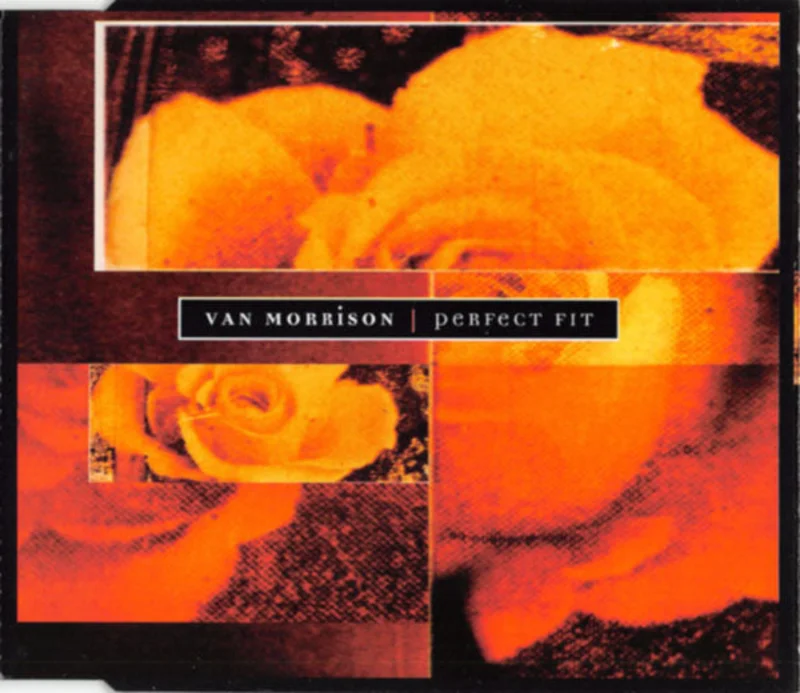 Van Morrison - Perfect Fit (CD)