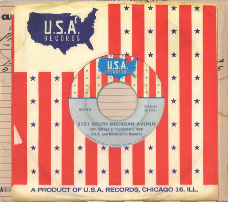 Various - 2131 South Michigan Avenue: 60's Garage & Psychedelia From U.S.A. And Destination Records (CD)