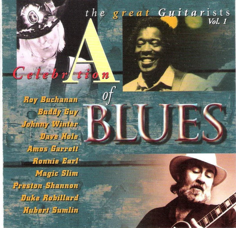 Various - A Celebration Of Blues - The Great Guitarists Vol. 1 (CD)