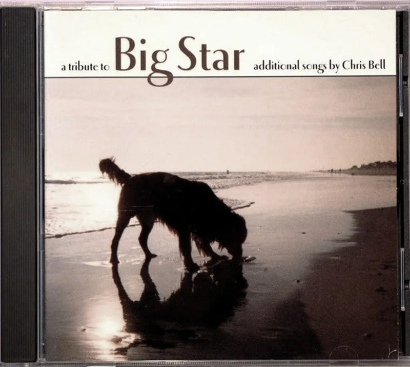 Various - A Tribute To Big Star (Additional Songs By Chris Bell) (CD)