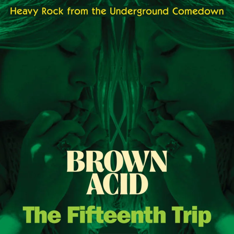 Various - Brown Acid: The Fifteenth Trip LP