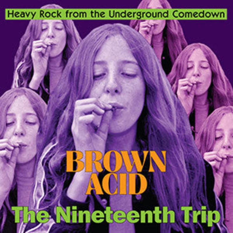 Various - Brown Acid: The Nineteenth Trip (Heavy Rock From The Underground Comedown) (Vinyl)