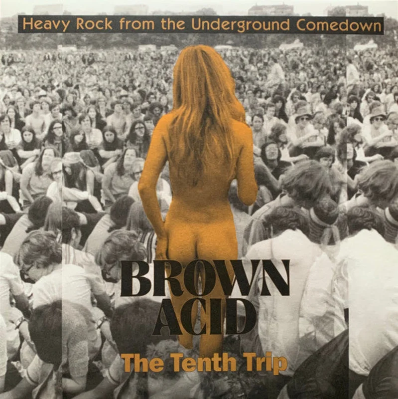 Various - Brown Acid: The Tenth Trip (Heavy Rock From The Underground Comedown (Vinyl)