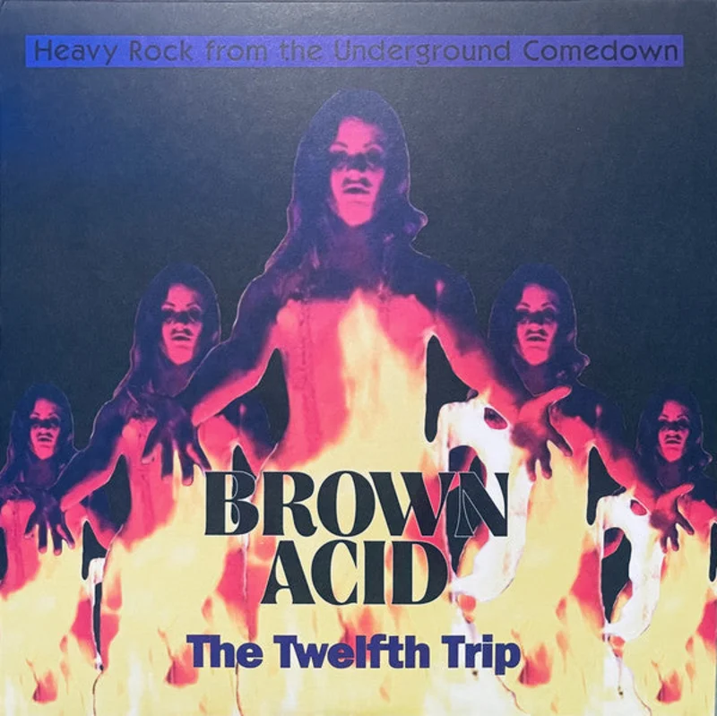 Various - Brown Acid: The Twelfth Trip (Heavy Rock From The Underground Comedown) (Vinyl)