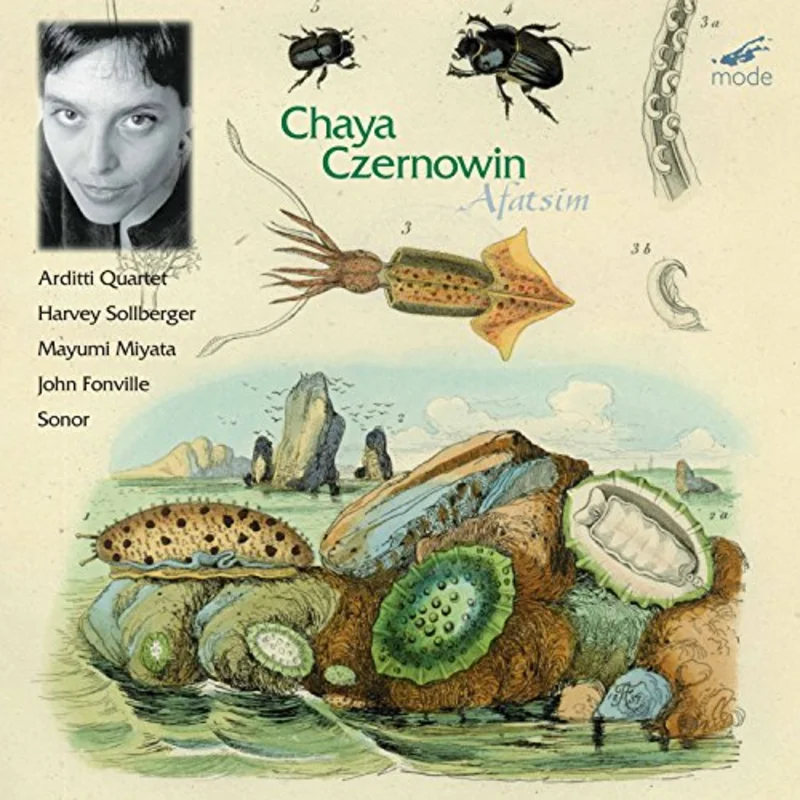 Various - Czernowin: Chamber Music (1988-1996) [CD]