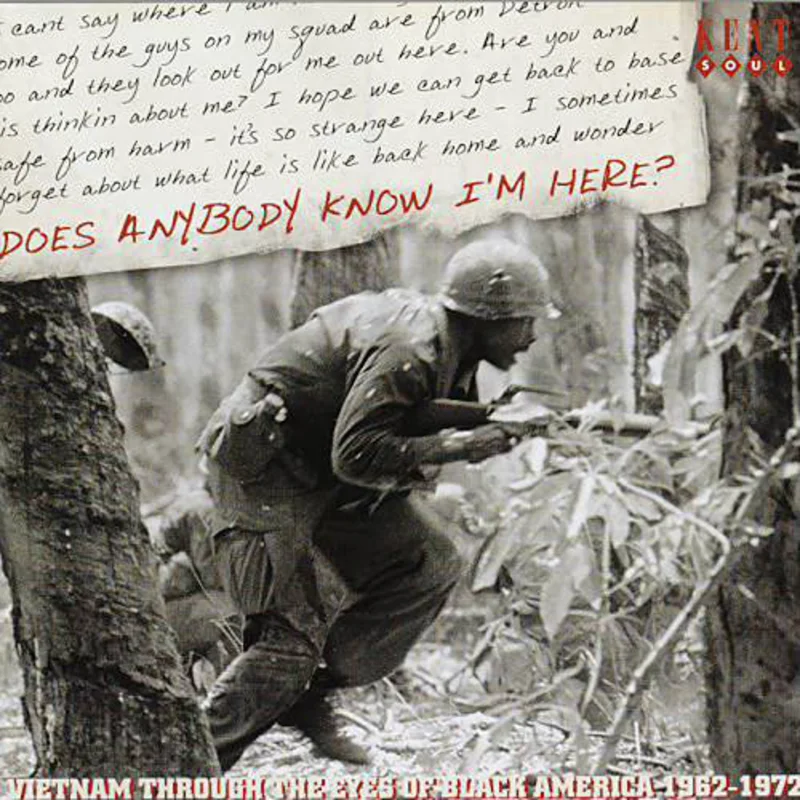 Various - Does Anybody Know I'm Here? (Vietnam Through The Eyes Of Black America 1962-1972) (CD)