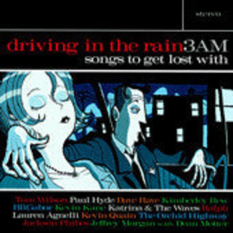Various - Driving In The Rain:3AM - Songs To Get Lost With (CD)