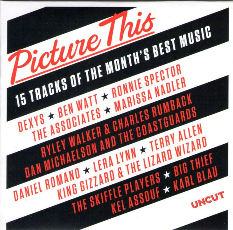 Various - Picture This (15 Tracks Of The Month's Best Music) (CD)