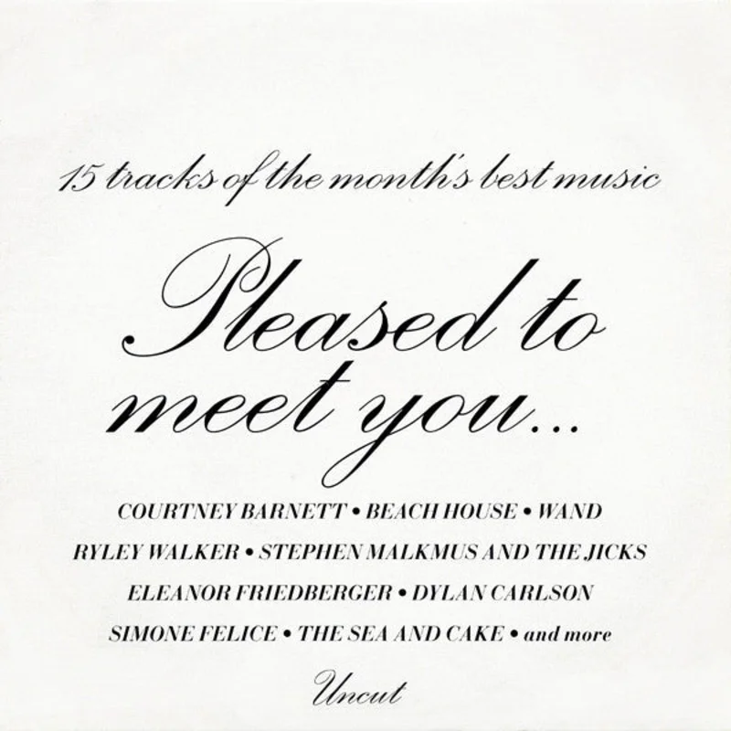 Various - Pleased To Meet You (15 Tracks Of The Months Best Music) (CD)