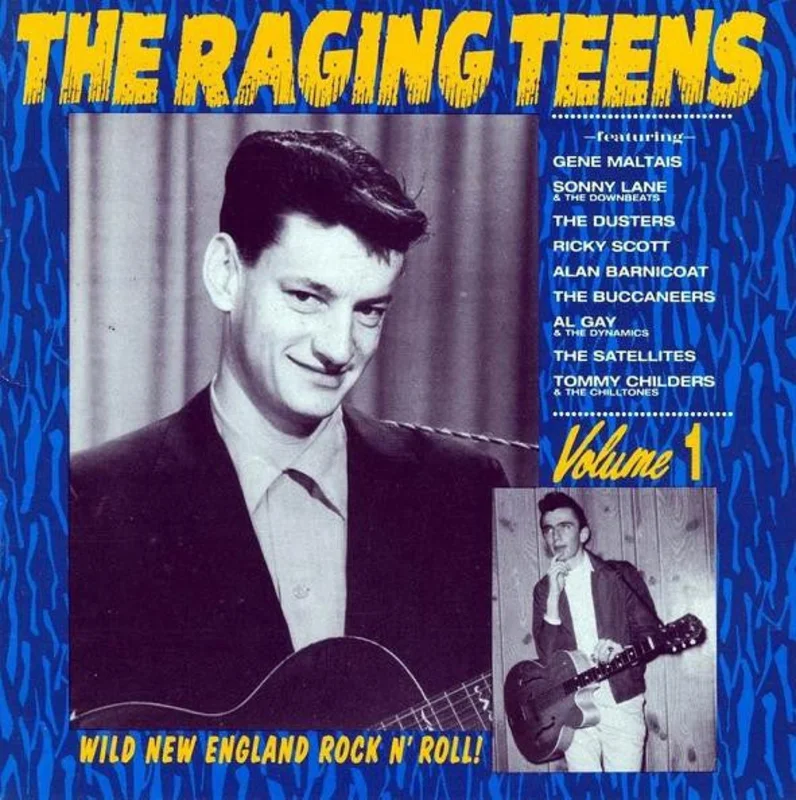 Various - The Raging Teens Volume 1 (CD)