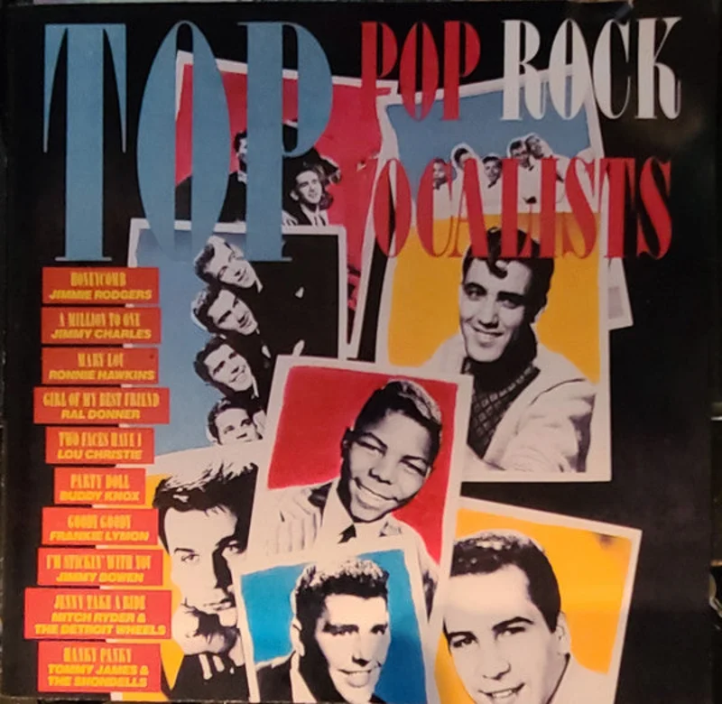 Various - Top Pop Rock Vocalists (CD)