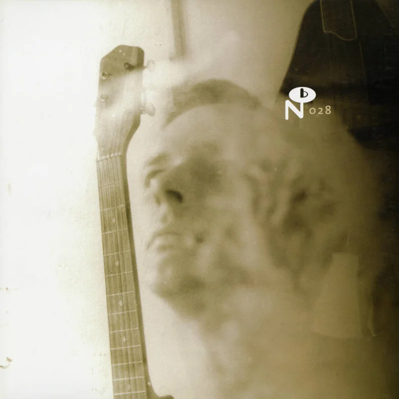 Various - Wayfaring Strangers: Lonesome Heroes 2LP