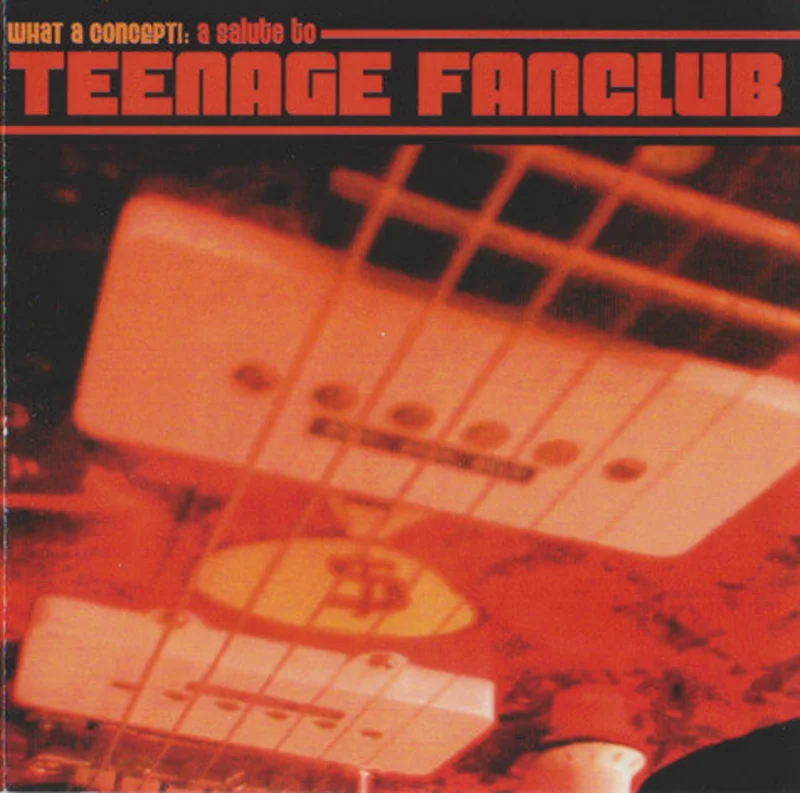 Various - What A Concept!: A Salute To Teenage Fanclub (CD)