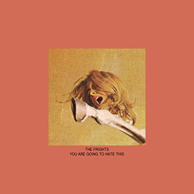 Various - You Are Going To Hate This [VINYL]