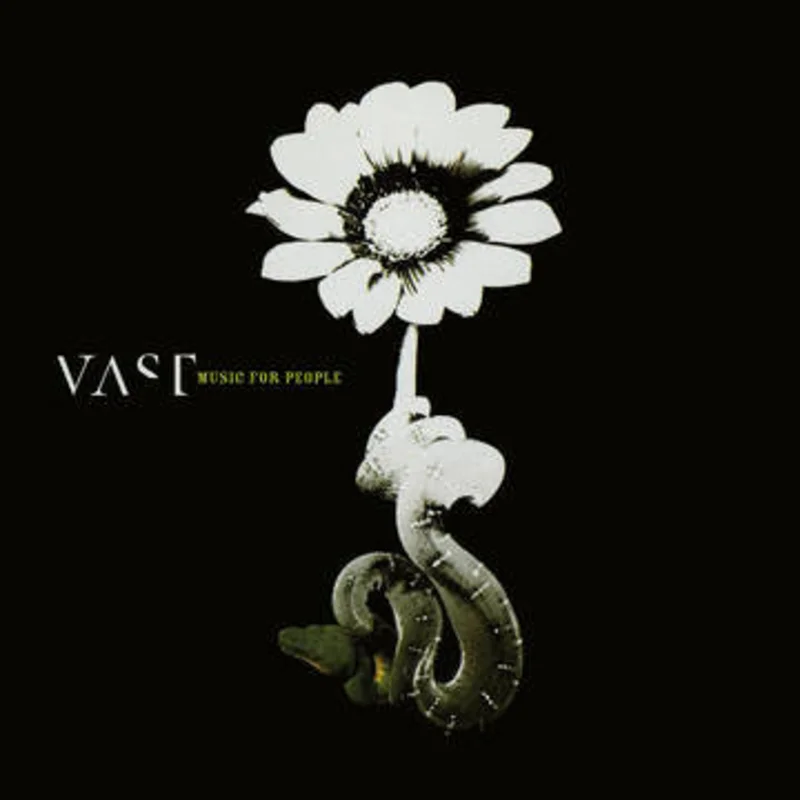 Vast - Music for People LP