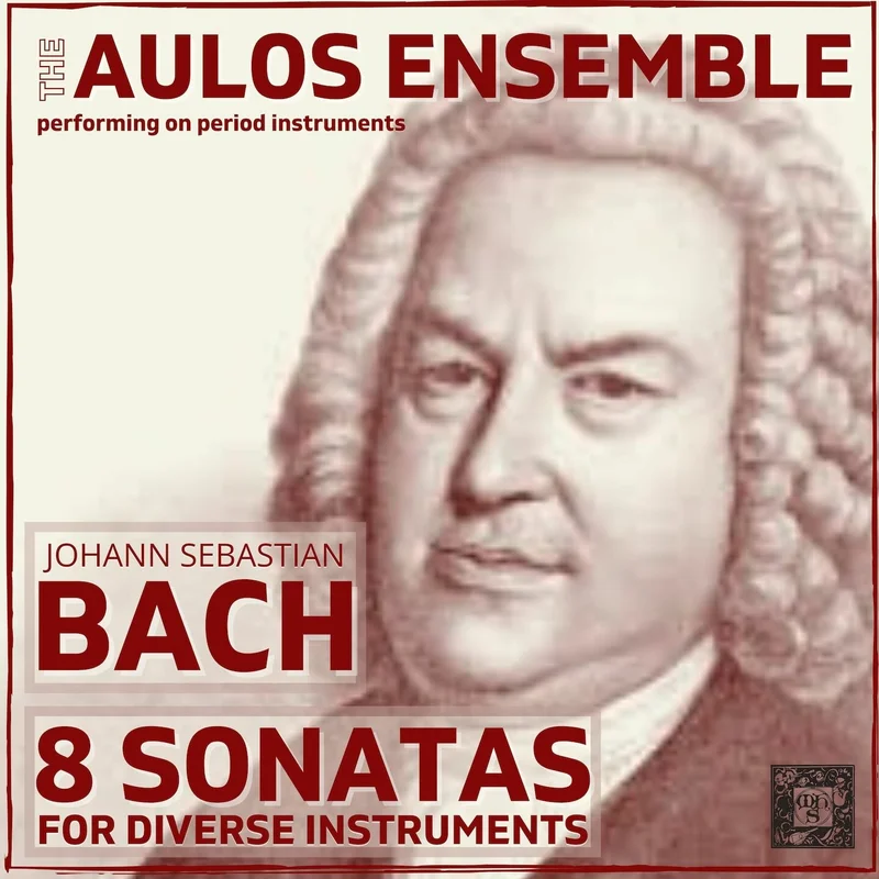 Violin Sonata in E Minor, BWV 1023: III. Allemande
