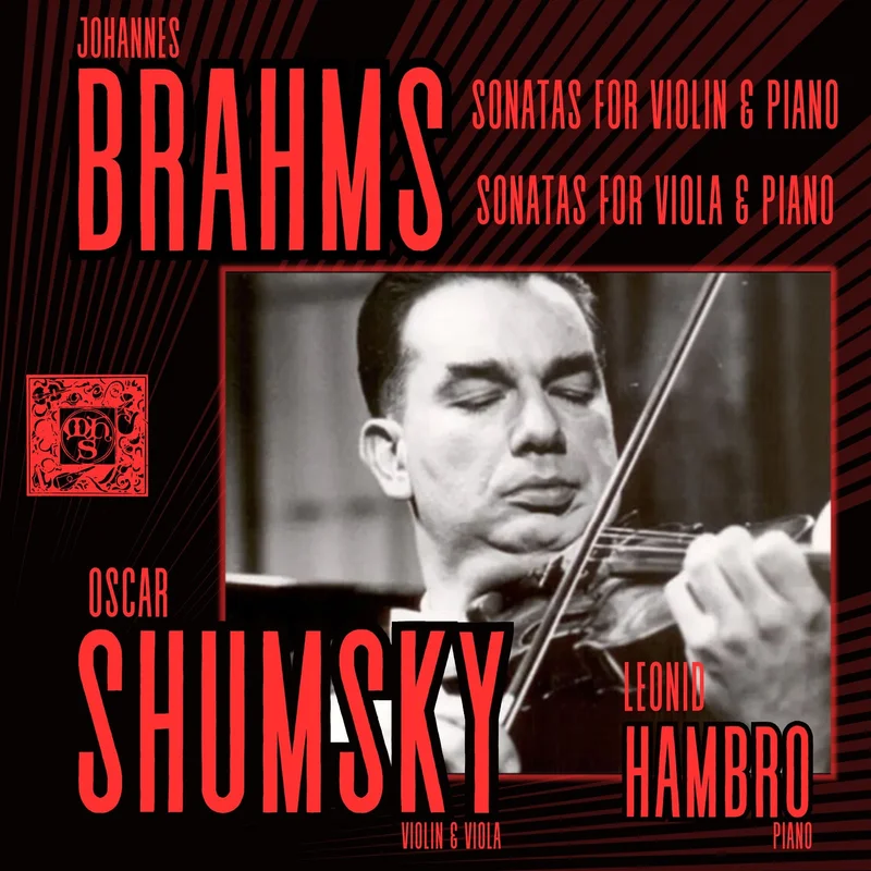 Violin Sonata No. 3 in D Minor, Op. 108: I. Allegro