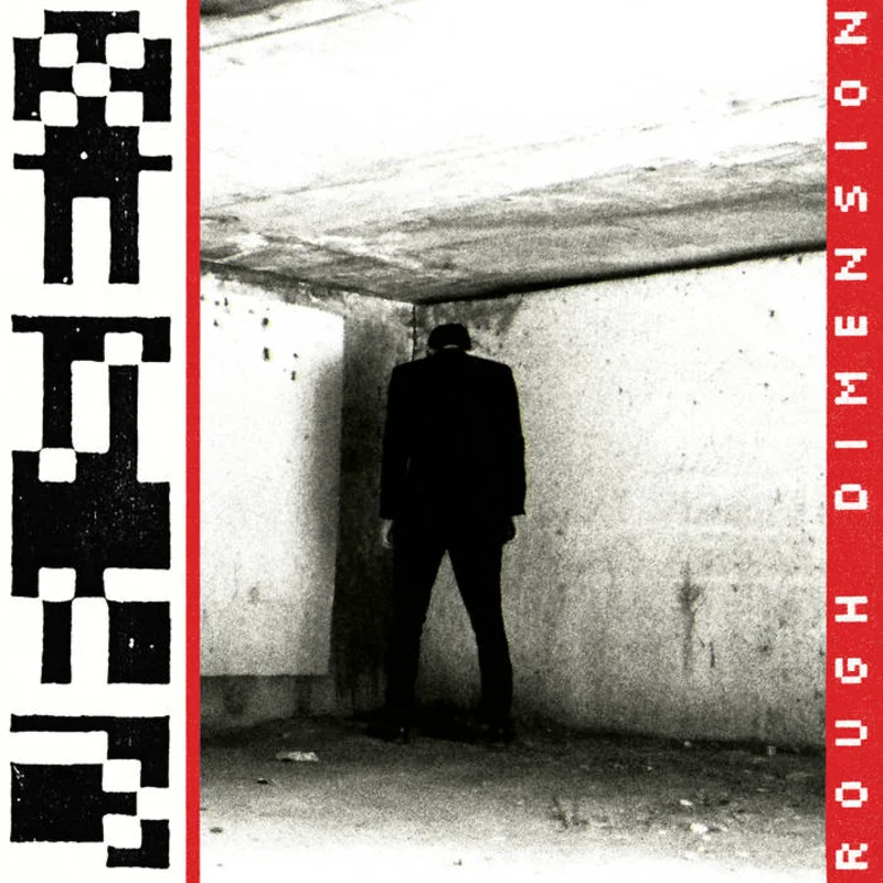 VR SEX - Rough Dimension LP