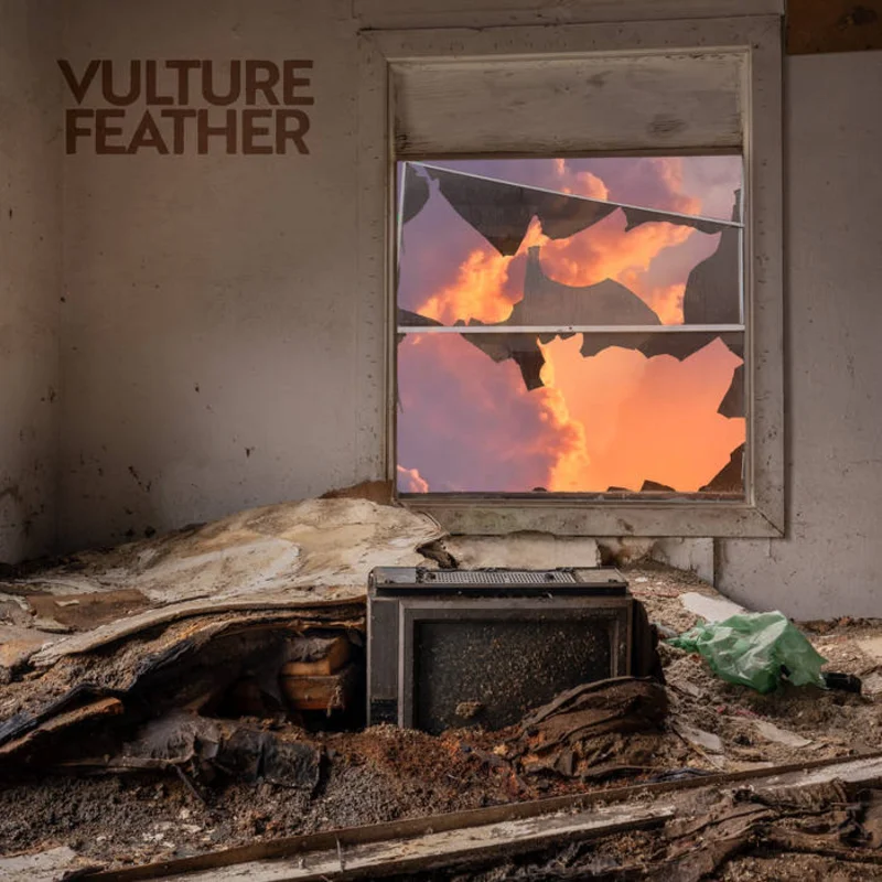 Vulture Feather - It Will Be Like Now LP