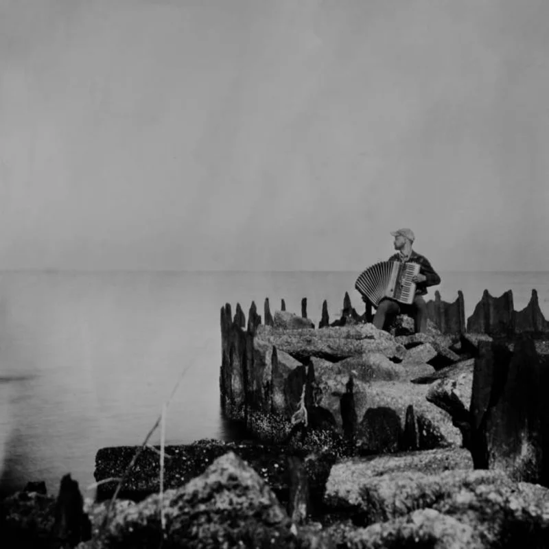 Walt McClements - A Hole in the Fence LP