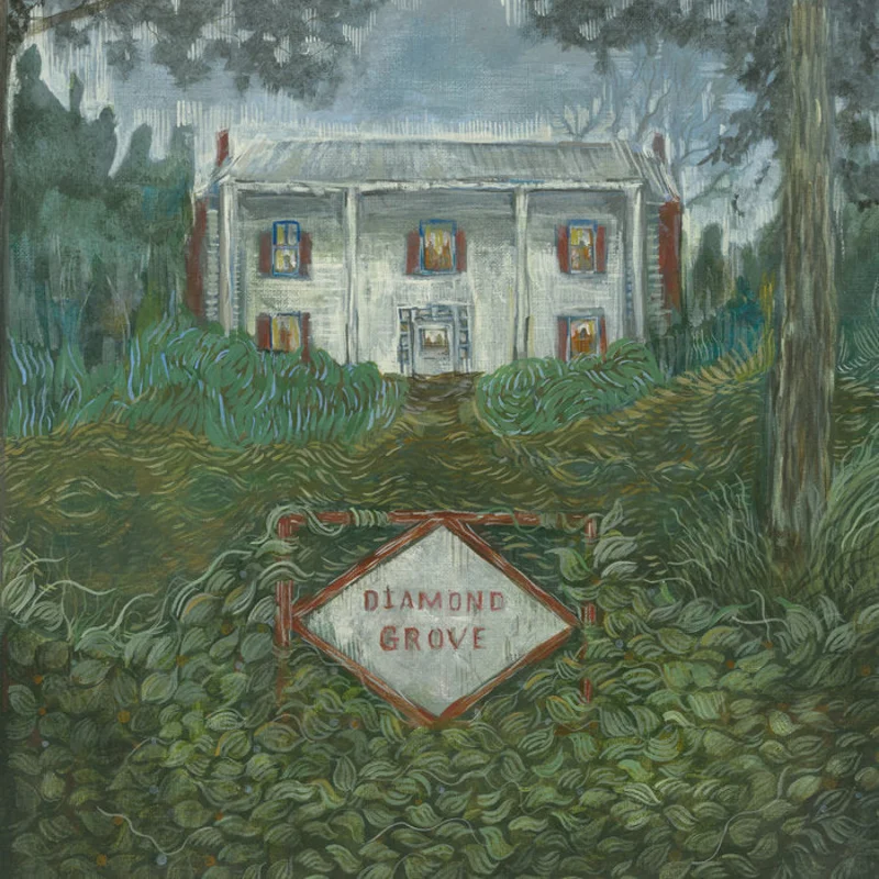 Weirs - Diamond Grove LP