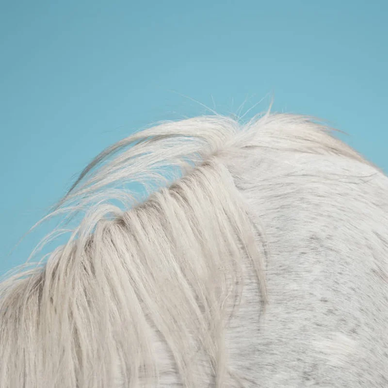 Widowspeak - All Yours LP