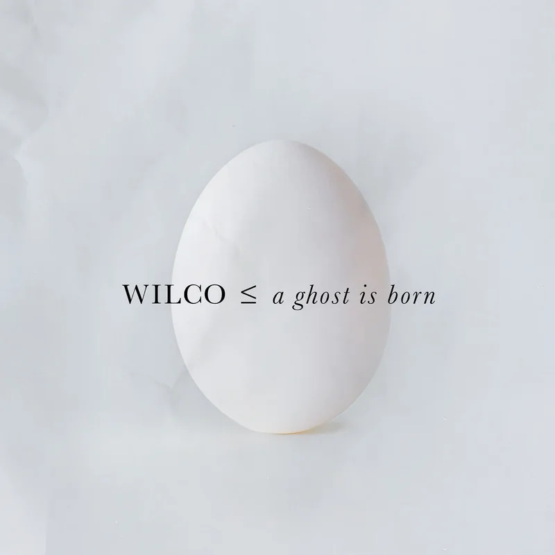 Wilco - A Ghost Is Born 2LP