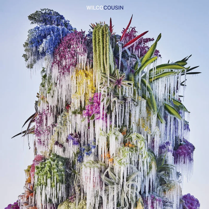 Wilco - Cousin LP