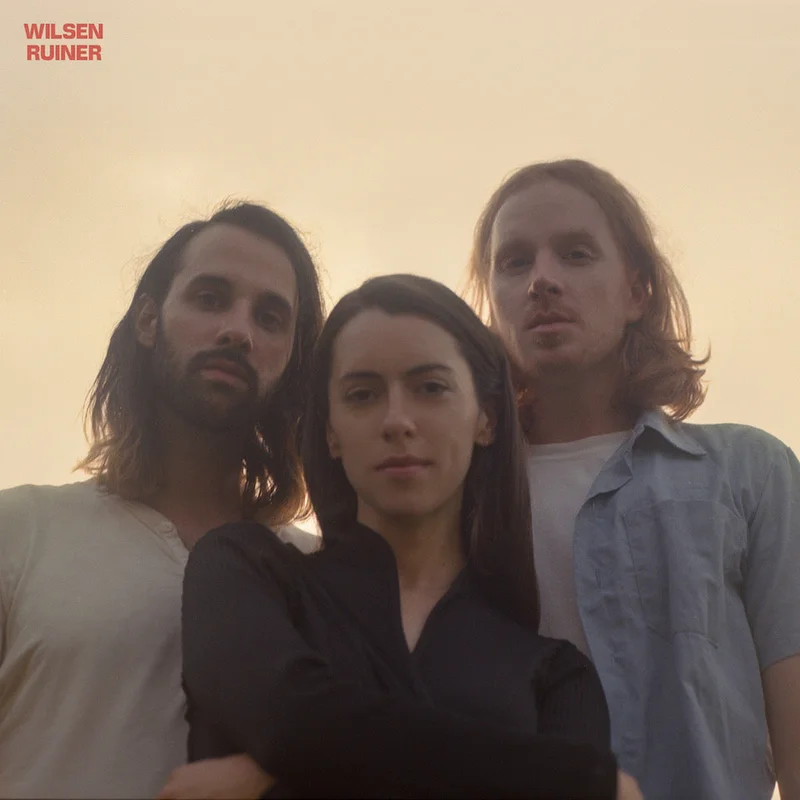 Wilsen - Ruiner LP