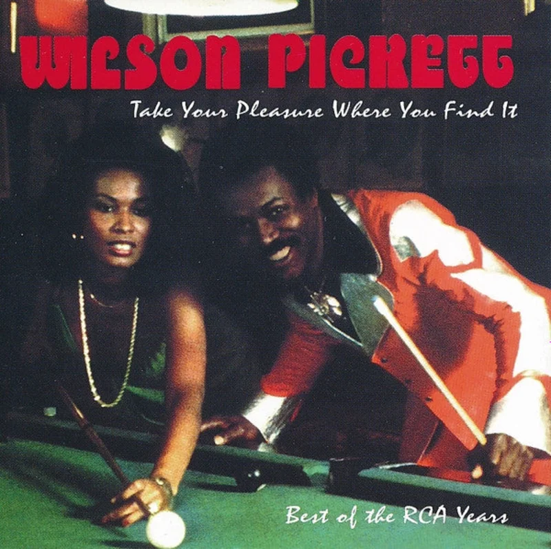 Wilson Pickett - Take Your Pleasure Where You Find It (Best Of The RCA Years) (CD)