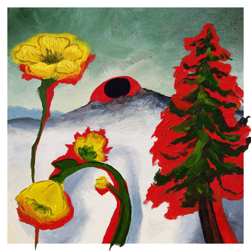 Woods - Strange to Explain LP